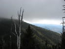 photo thumbnail #3