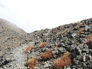 photo thumbnail #13