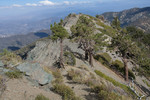 photo thumbnail #14