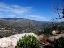 photo thumbnail #10