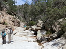 photo thumbnail #2