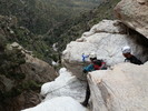 photo thumbnail #10
