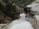 photo thumbnail #12