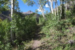 photo thumbnail #7