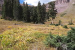 photo thumbnail #12