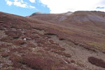 photo thumbnail #15
