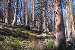photo thumbnail #3