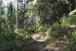 photo thumbnail #2
