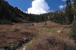 photo thumbnail #3