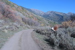 photo thumbnail #2