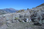 photo thumbnail #3