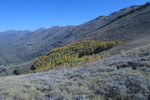 photo thumbnail #4