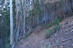 photo thumbnail #7