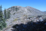 photo thumbnail #10