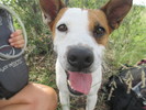 photo thumbnail #2