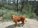 photo thumbnail #4