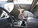 photo thumbnail #12