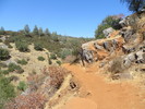 photo thumbnail #5