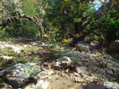photo thumbnail #12