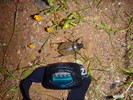 photo thumbnail #10