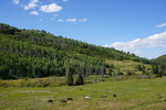 photo thumbnail #12