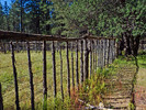 photo thumbnail #6