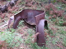 photo thumbnail #6