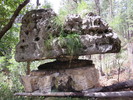 photo thumbnail #8
