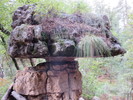 photo thumbnail #9