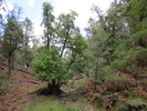 photo thumbnail #10
