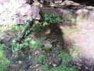 photo thumbnail #12