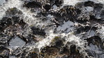 photo thumbnail #14