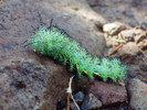 photo thumbnail #3