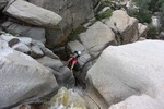 photo thumbnail #5