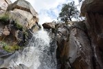 photo thumbnail #8
