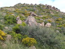 photo thumbnail #12