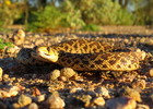 photo thumbnail #2