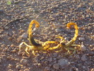 photo thumbnail #4