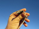 photo thumbnail #3