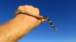 photo thumbnail #8