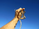 photo thumbnail #6