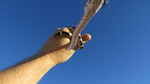 photo thumbnail #7