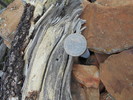 photo thumbnail #6