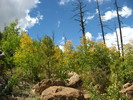 photo thumbnail #5