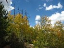 photo thumbnail #6