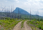 photo thumbnail #3