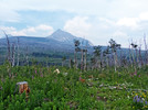 photo thumbnail #9