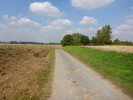 photo thumbnail #9