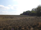 photo thumbnail #12