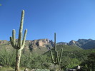 photo thumbnail #1